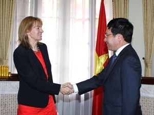Deputy Prime Minister Pham Binh Minh receives German Parliament Vice President  - ảnh 1